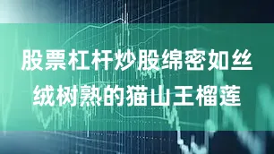 股票杠杆炒股绵密如丝绒树熟的猫山王榴莲